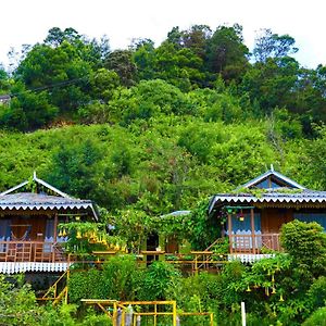 The Kodai Heaven